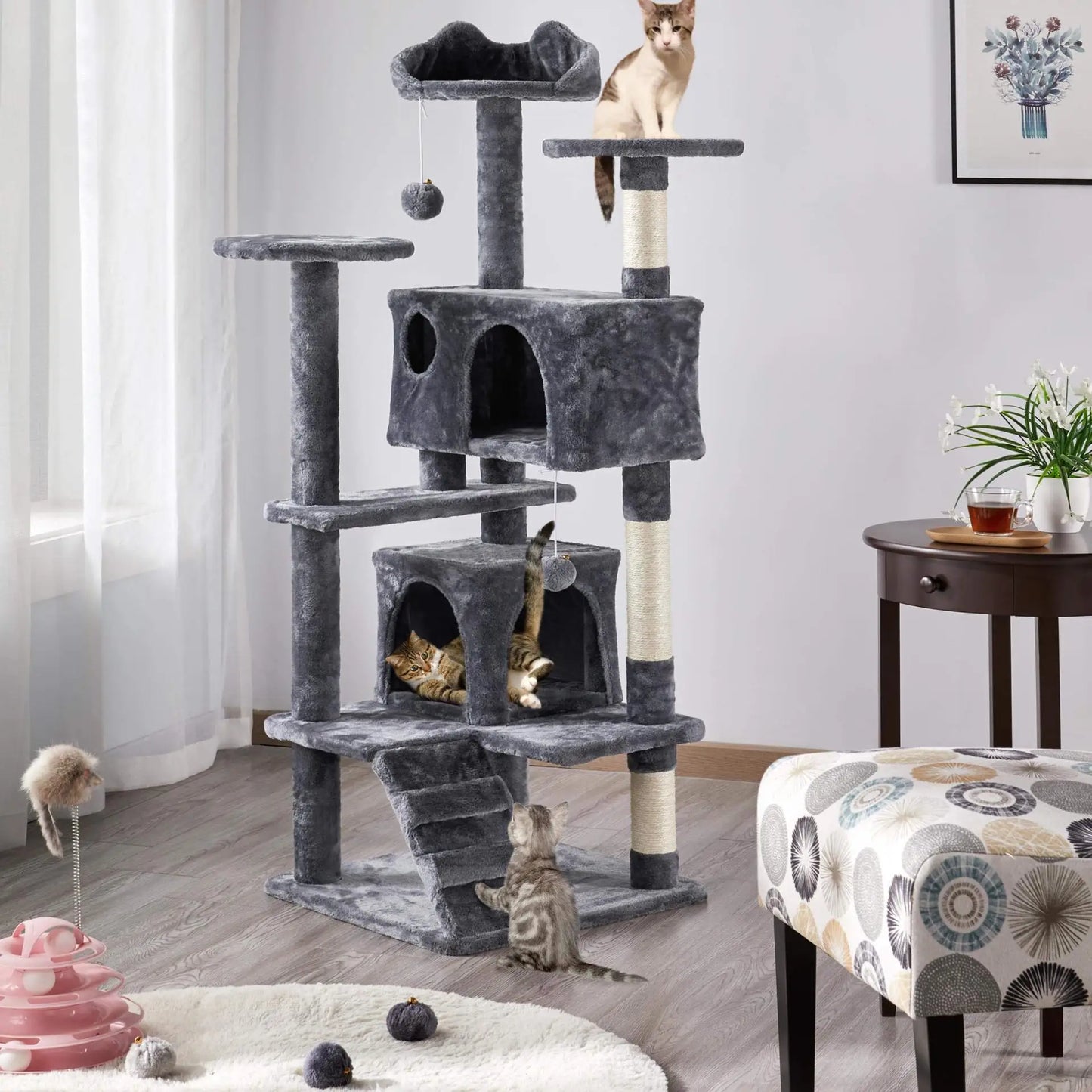 Katzenbaum