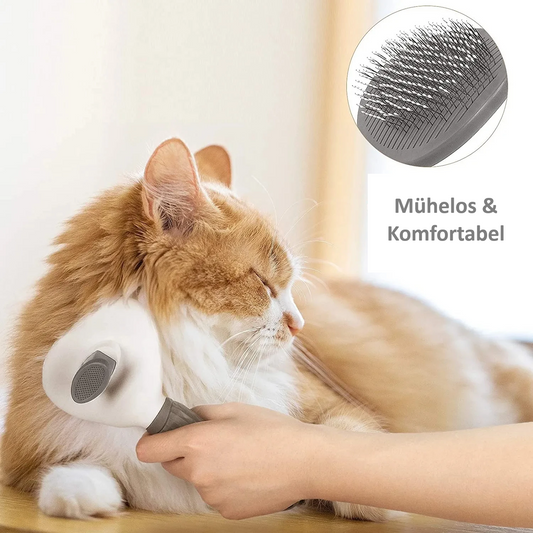 pet brush1