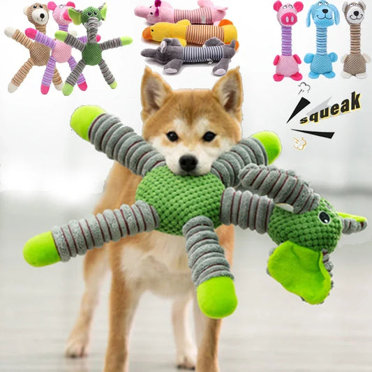 pet toy1