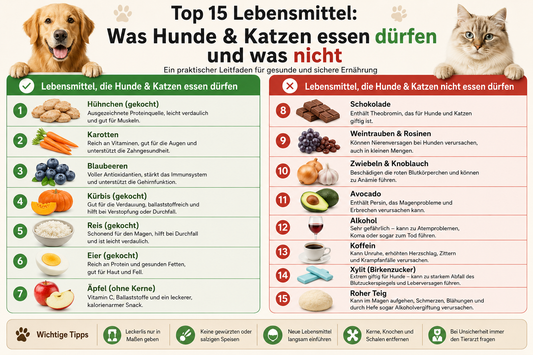 Top 15 menschliche Lebensmittel – Was Hunde und Katzen essen dürfen und was nicht