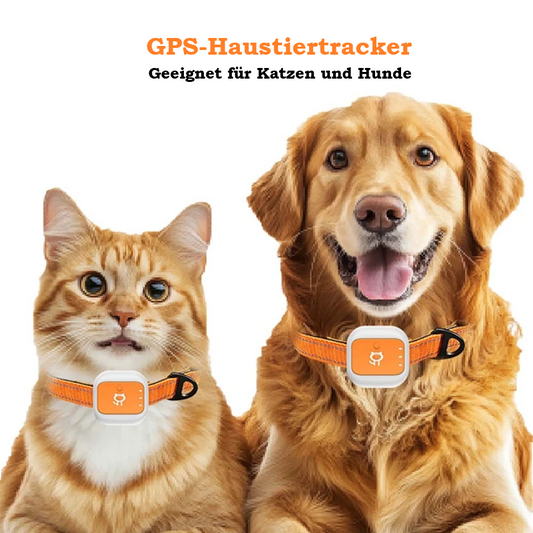 4G GPS Tracker für Hunde & Katzen – Ohne Abo