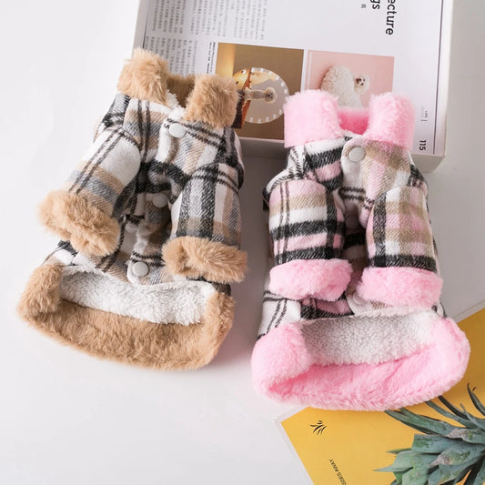 Jacke für pet