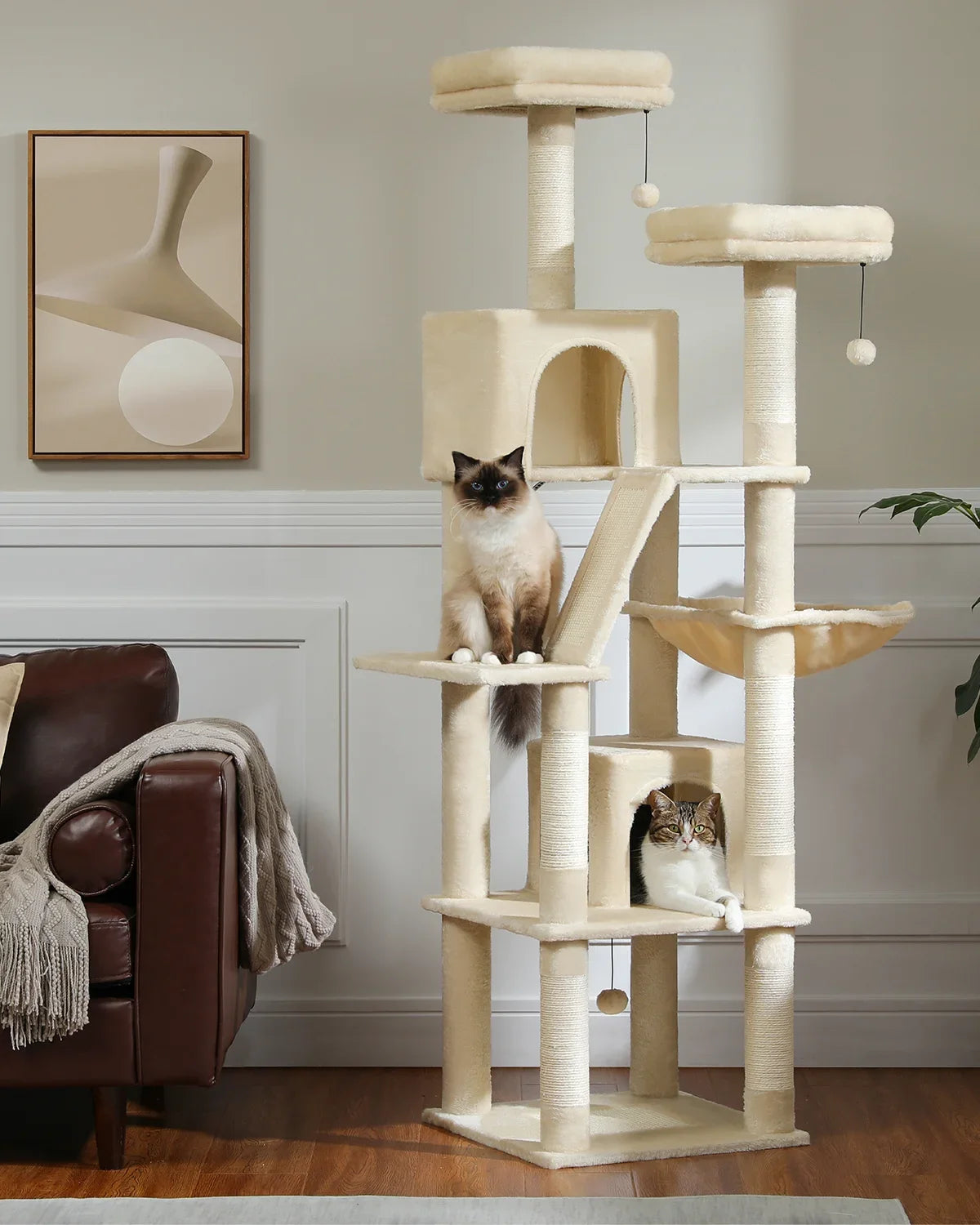 Katzenbaum 