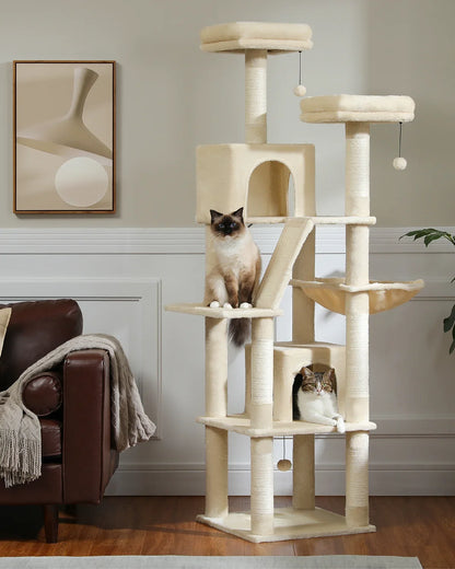 Katzenbaum 
