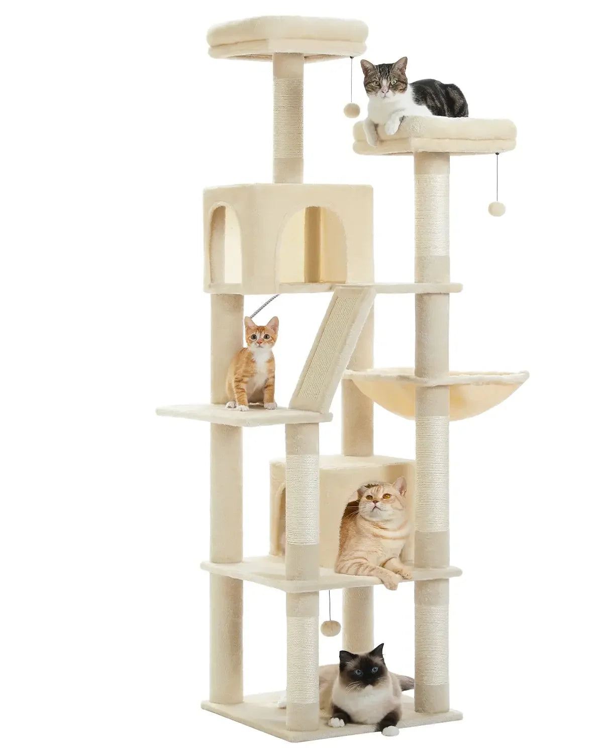 Katzenbaum 