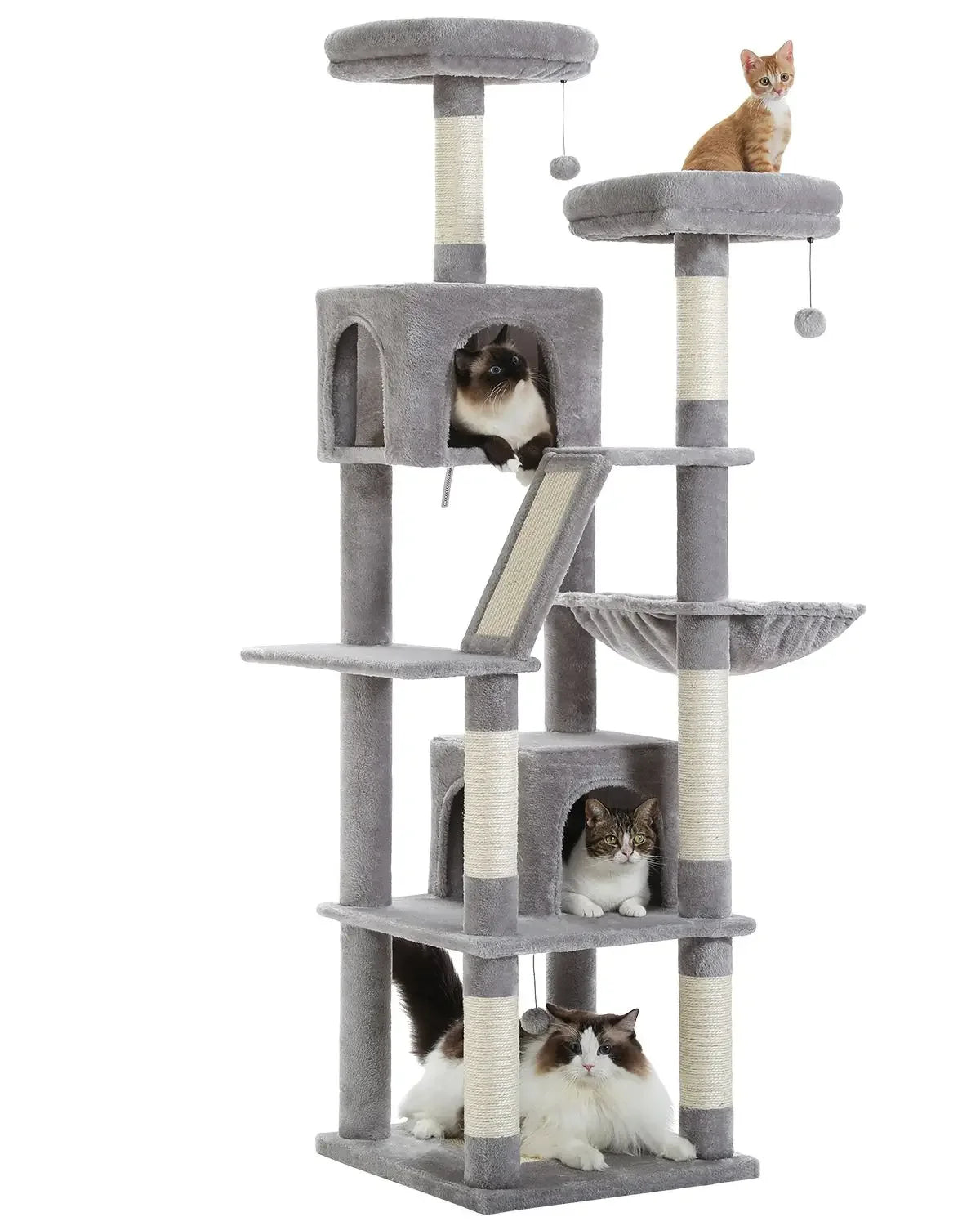 Katzenbaum 