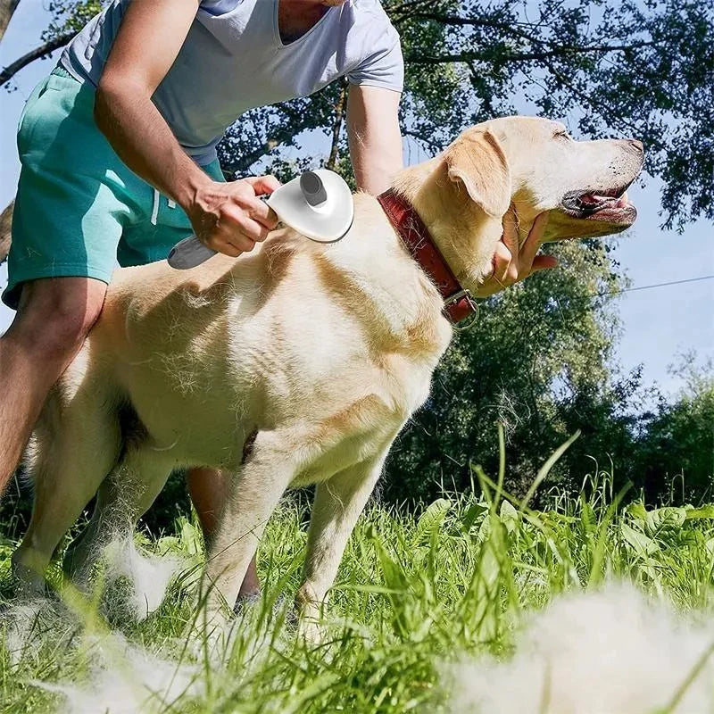 pet brush8