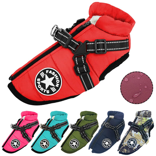 pet jacket