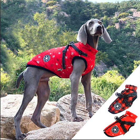 pet jacket1