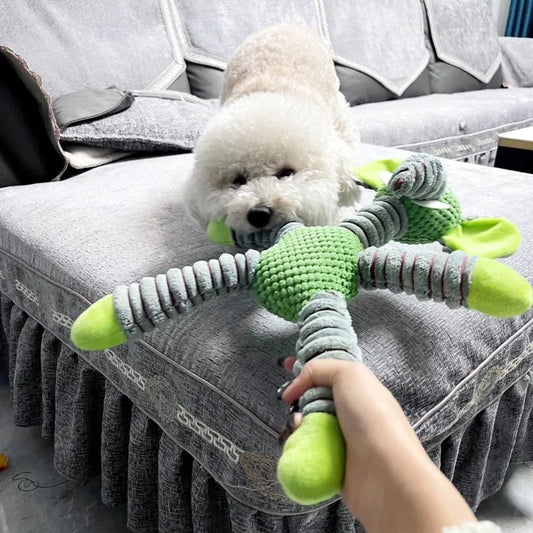 pet toy
