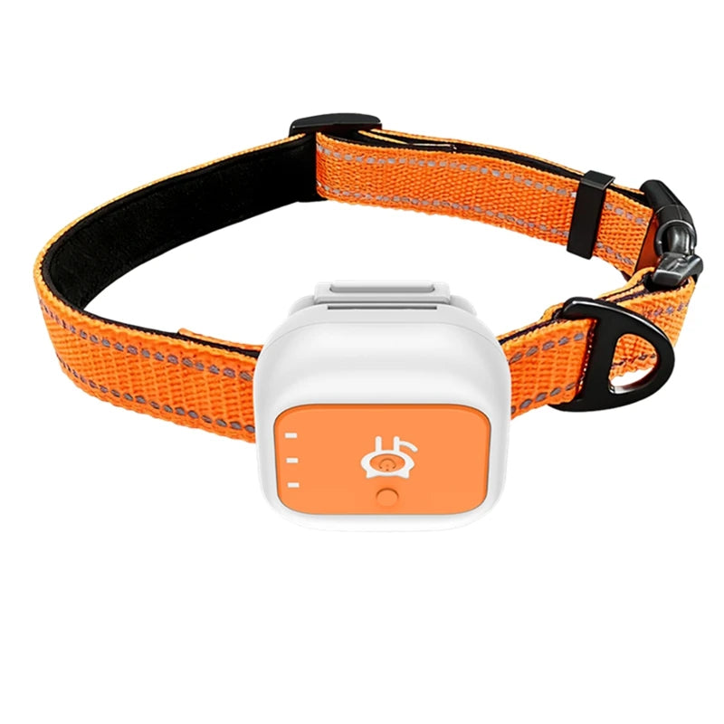 4G GPS Tracker für Hunde & Katzen – Ohne Abo